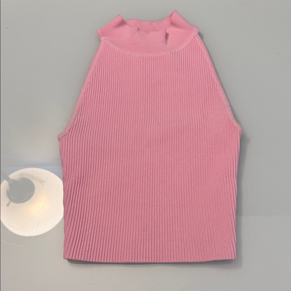 Babaton by Aritzia High Neck Top